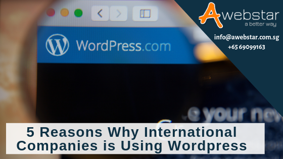 5 Reasons Why International Companies is Using Wordpress